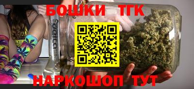 спиды Дубна