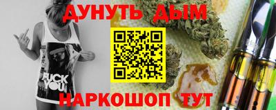 спиды Дубна