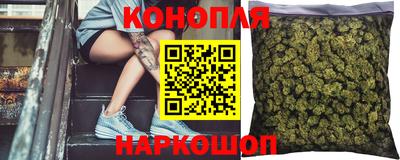 спиды Дубна
