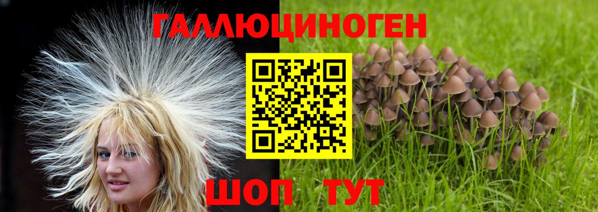 Псилоцибиновые грибы мицелий Мелеуз