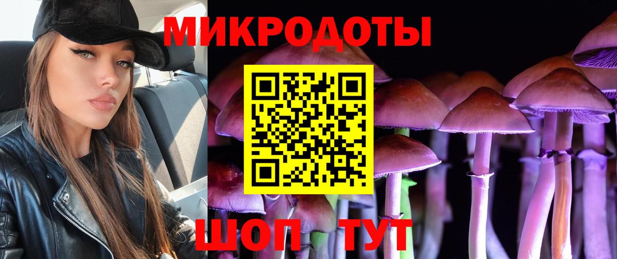 дарнет шоп  Псилоцибиновые грибы мицелий  Вход с VPN  Мелеуз  Псилоцибиновые грибы мицелий 